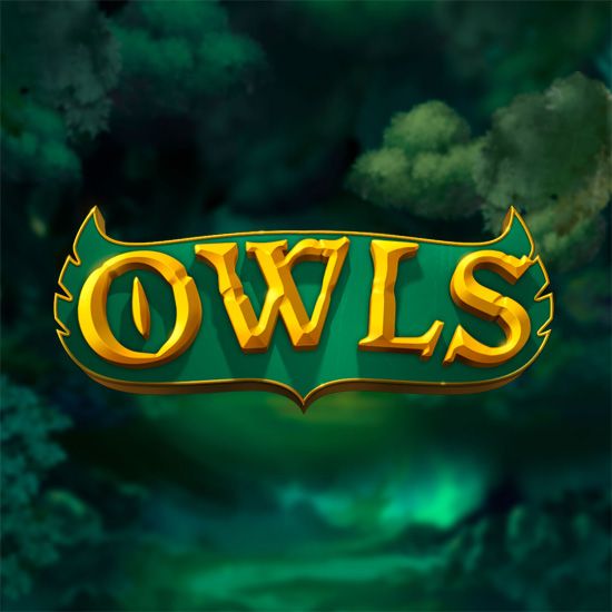 Owls