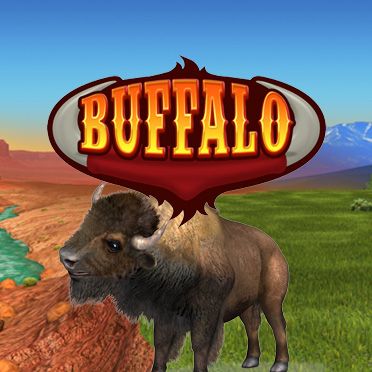 Bingo Buffalo