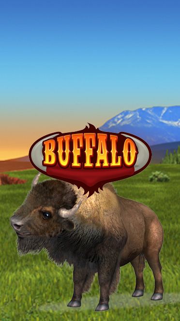 Bingo Buffalo