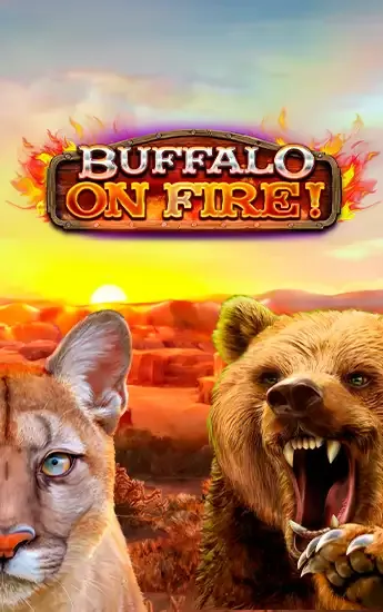 Buffalo on Fire