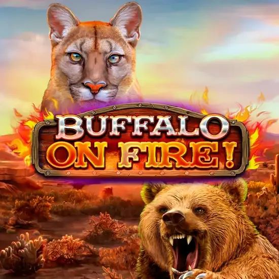 Buffalo on Fire