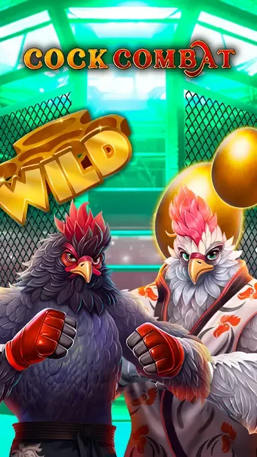 Cock Combat