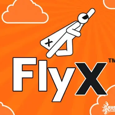 FlyX