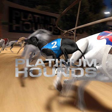 Velo City Hounds Racing