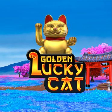 Bingo Golden Lucky Cat