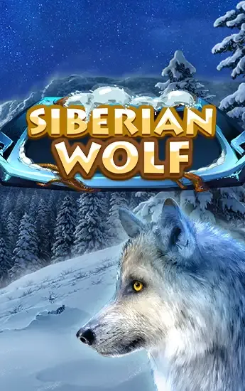 Siberian Wolf