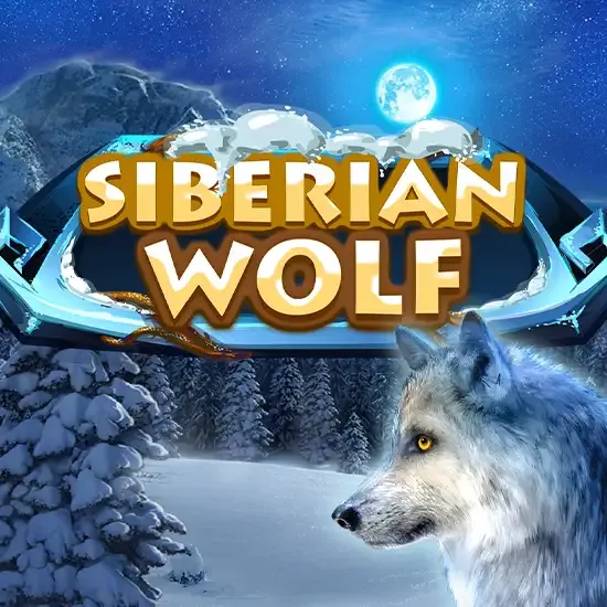 Siberian Wolf