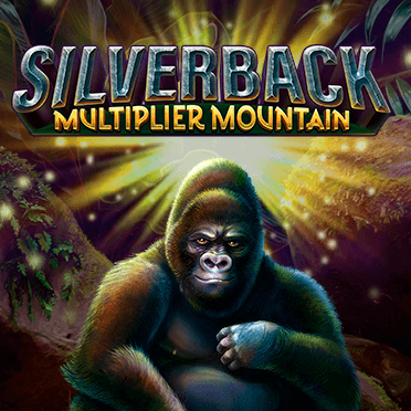 Silverback Multiplier Mountain