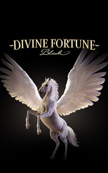 Divine Fortune Black
