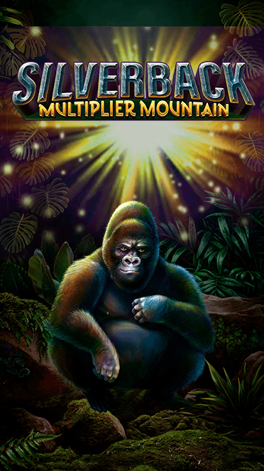 Silverback Multiplier Mountain