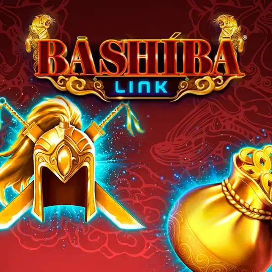 Bashiba Link Warrior
