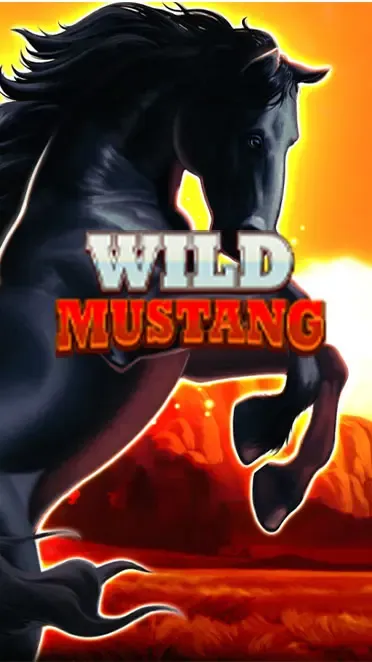 Wild Mustang