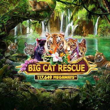 Big Cat Rescue Megaways