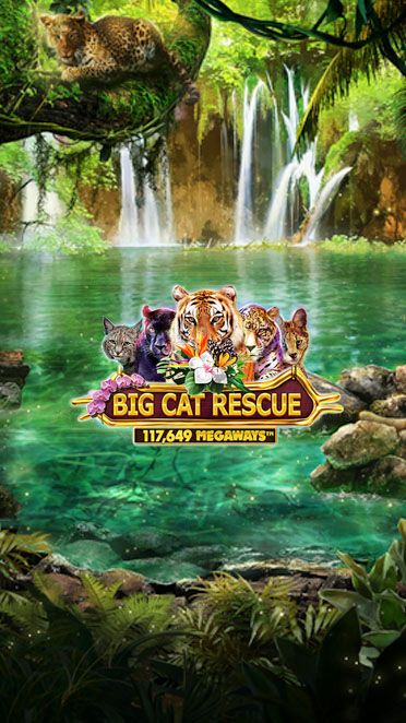 Big Cat Rescue Megaways