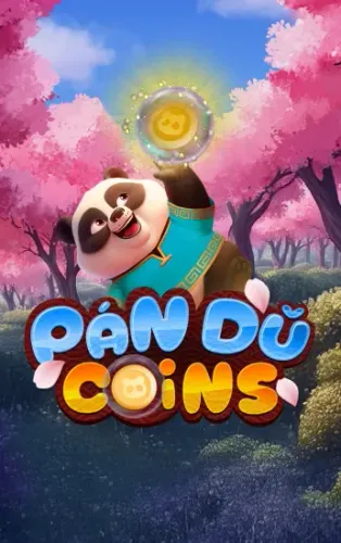 Pan Du Coins