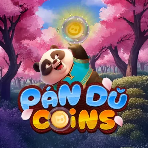 Pan Du Coins