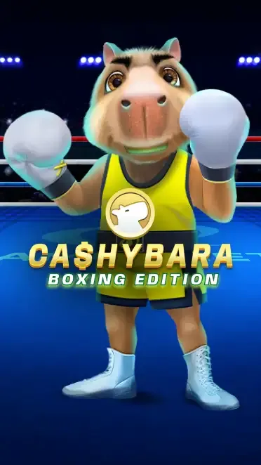 Cashybara Boxing Edition