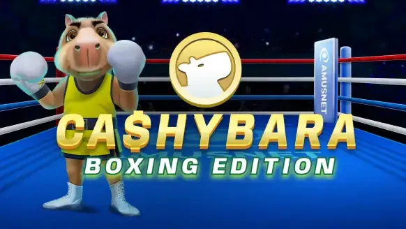 Cashybara Boxing Edition