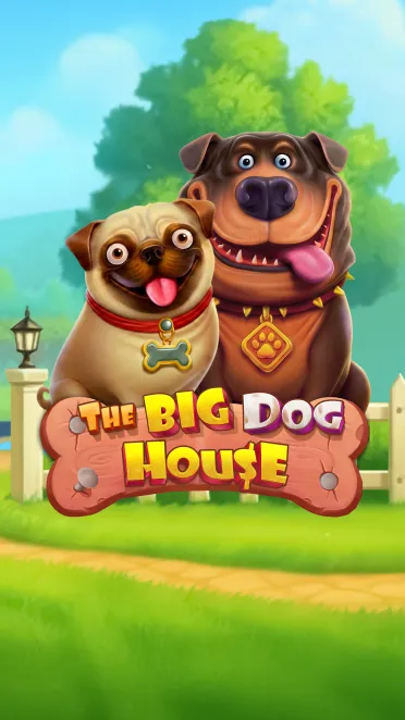 The big dog house