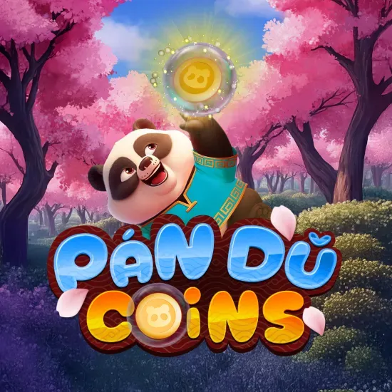 Pan Du Coins