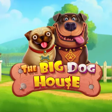 The big dog house